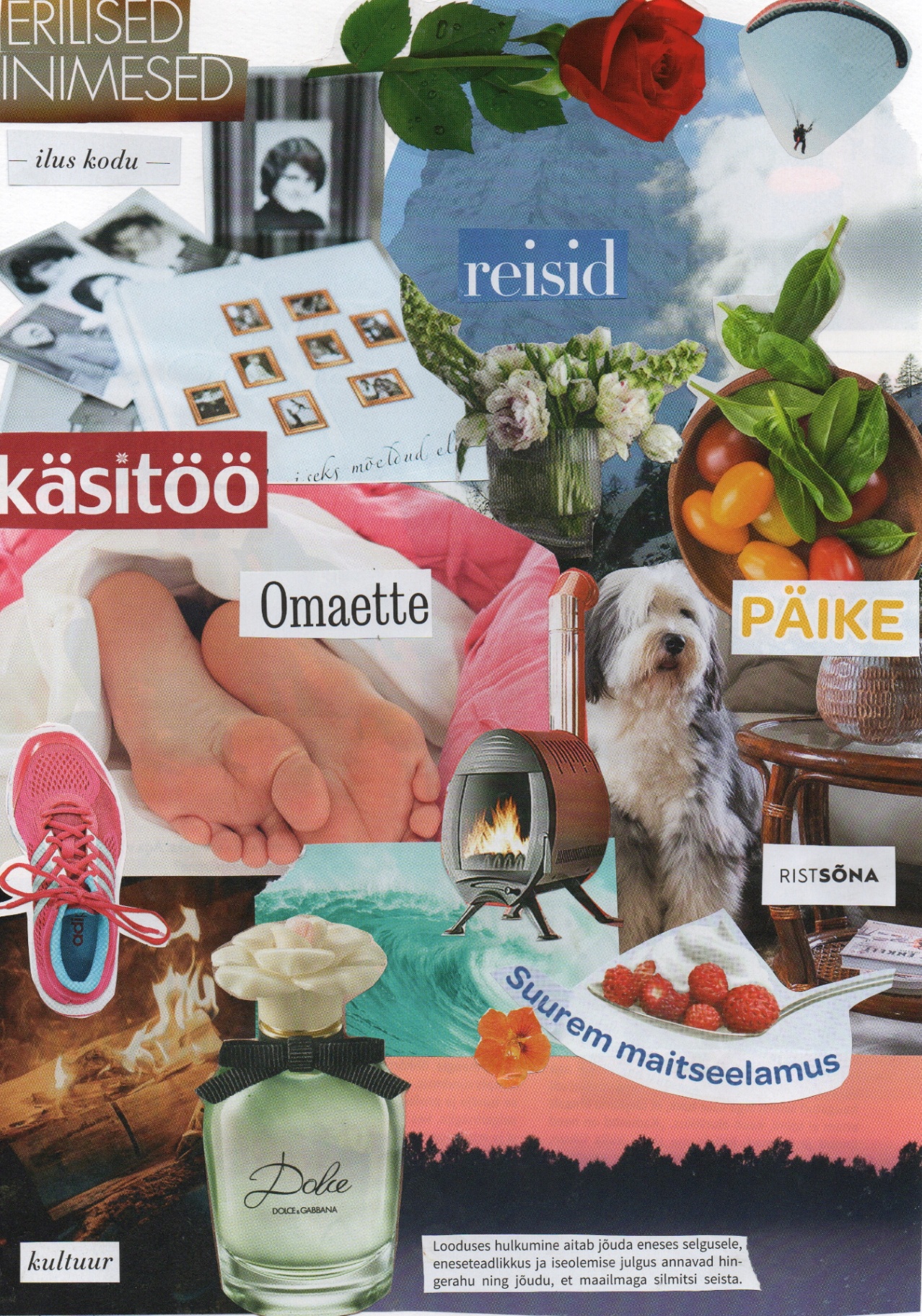 Näidistöö: Ressursside kollaaž